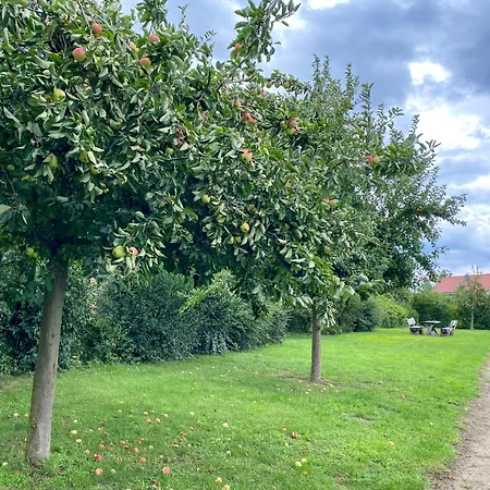 Wiesengefluester W10 - Mit Sauna, Kamin Und Garten *