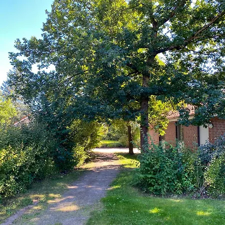 Wiesengefluester W10 - Mit Sauna, Kamin Und Garten * Röbel