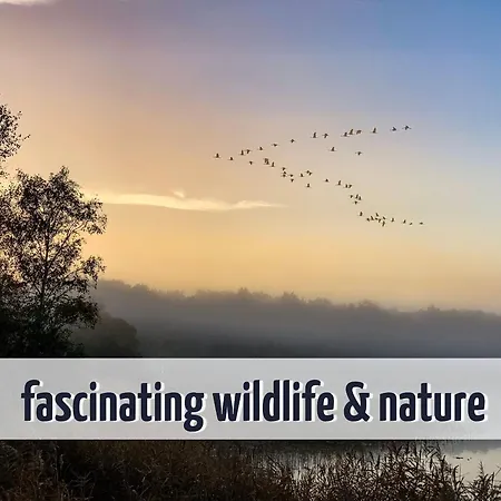 Wiesengefluester W10 - Mit Sauna, Kamin Und Garten Prázdninový dům