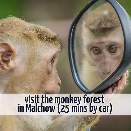 Prázdninový dům Wiesengefluester W10 - Mit Sauna, Kamin Und Garten