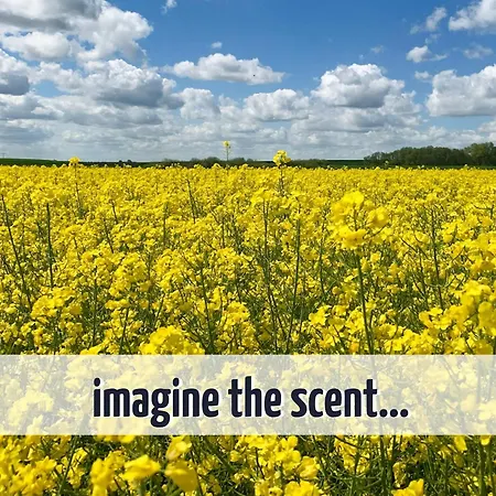 Prázdninový dům Wiesengefluester W10 - Mit Sauna, Kamin Und Garten