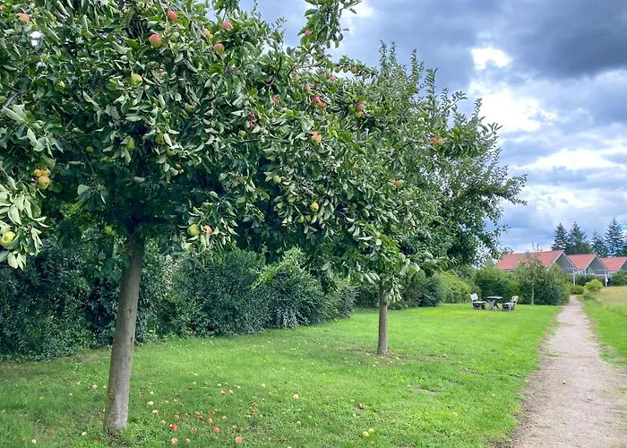 Wiesengefluester W10 - Mit Sauna, Kamin Und Garten *