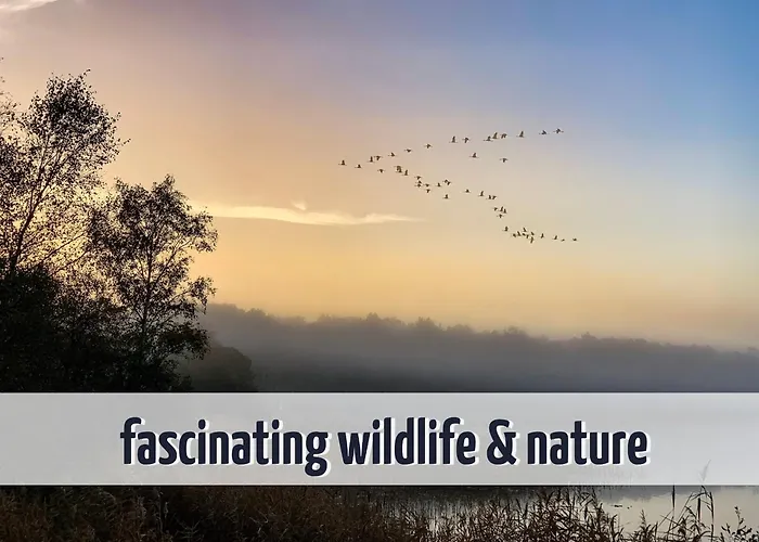 Wiesengefluester W10 - Mit Sauna, Kamin Und Garten Σπίτι διακοπών