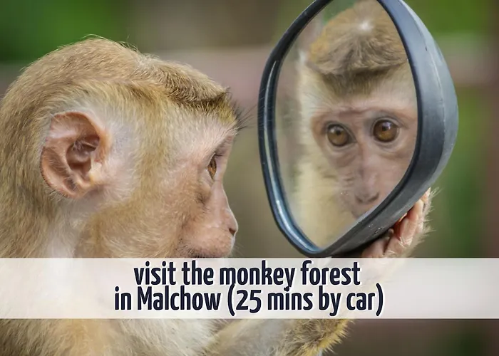 Σπίτι διακοπών Wiesengefluester W10 - Mit Sauna, Kamin Und Garten