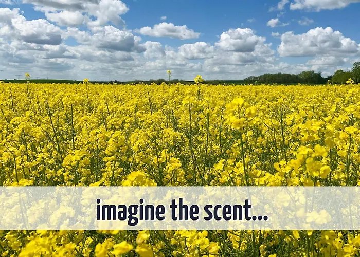 Σπίτι διακοπών Wiesengefluester W10 - Mit Sauna, Kamin Und Garten